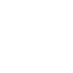 Insider Cloth 